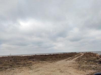 Прикрепленное изображение: IMG_20210113_163108_resize_84.jpg